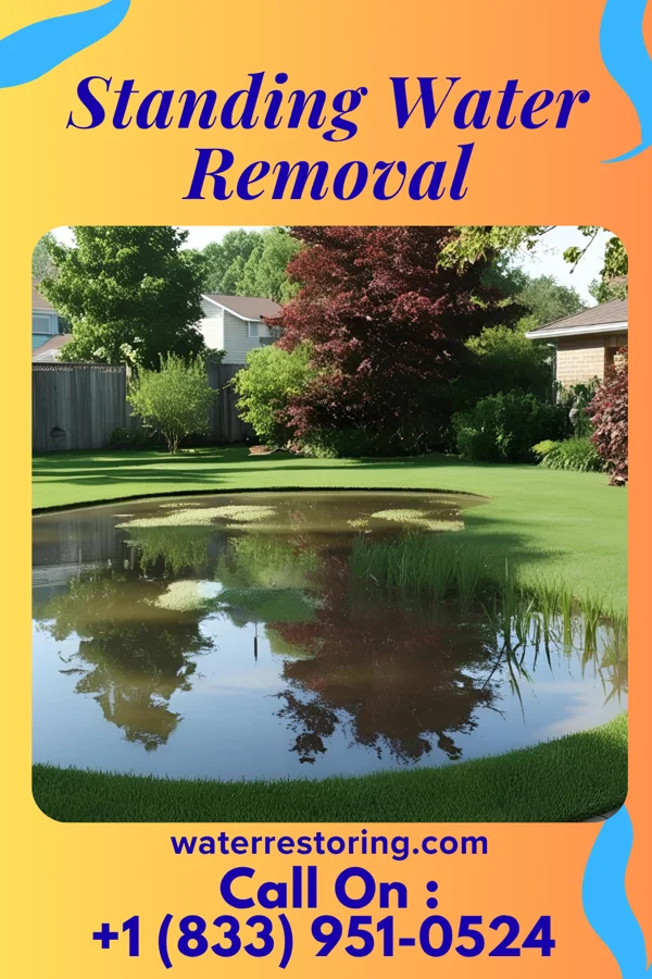 Standing Water Removal in Mont Alto, PA